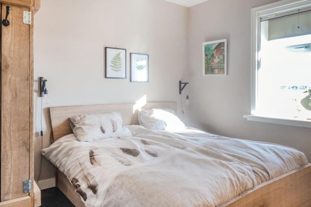 Logies De Hooiberg Apartment Lutjewinkel Bagian luar foto